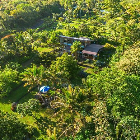 Jungle Haven Ocean Front Eco Villa On Fruit Farm Pahoa Eksteriør bilde