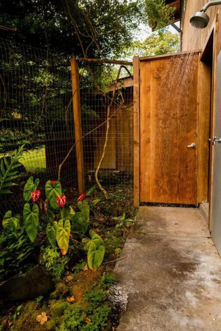 Jungle Haven Ocean Front Eco Villa On Fruit Farm Pahoa Eksteriør bilde