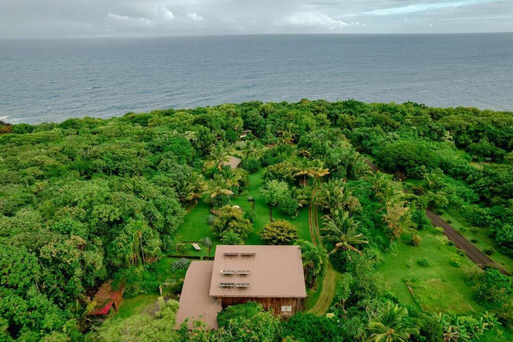 Jungle Haven Ocean Front Eco Villa On Fruit Farm Pahoa Eksteriør bilde