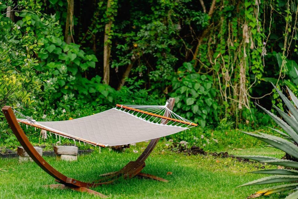 Jungle Haven Ocean Front Eco Villa On Fruit Farm Pahoa Eksteriør bilde