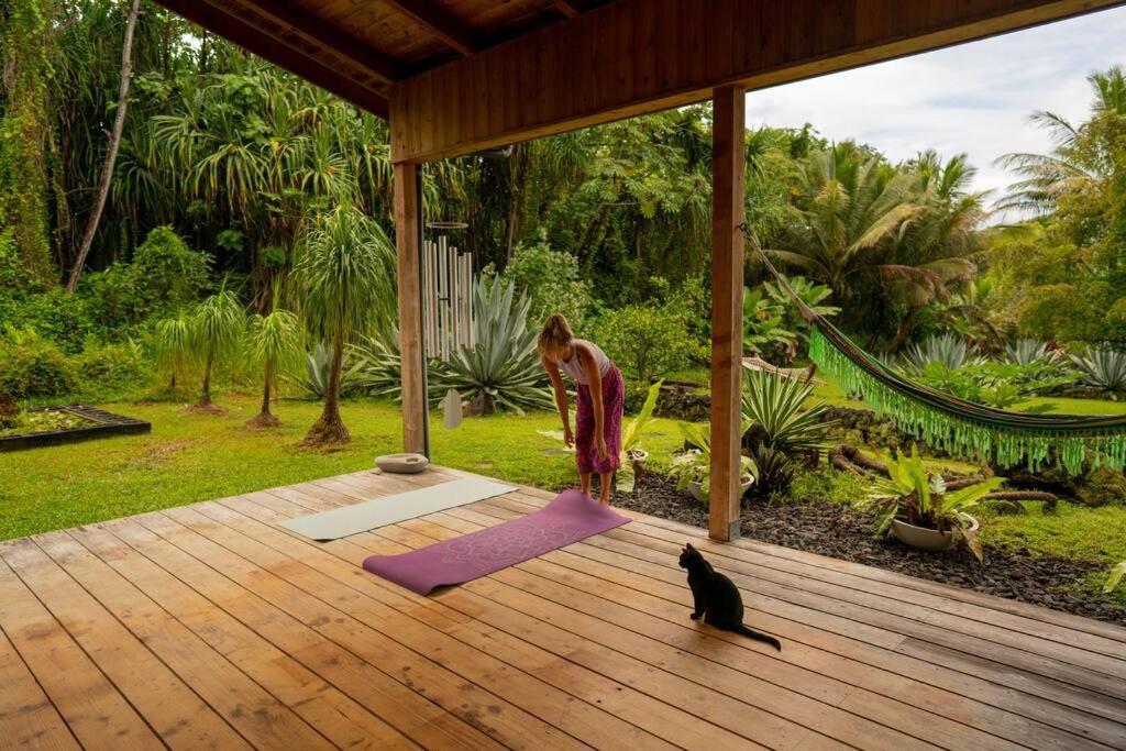 Jungle Haven Ocean Front Eco Villa On Fruit Farm Pahoa Eksteriør bilde