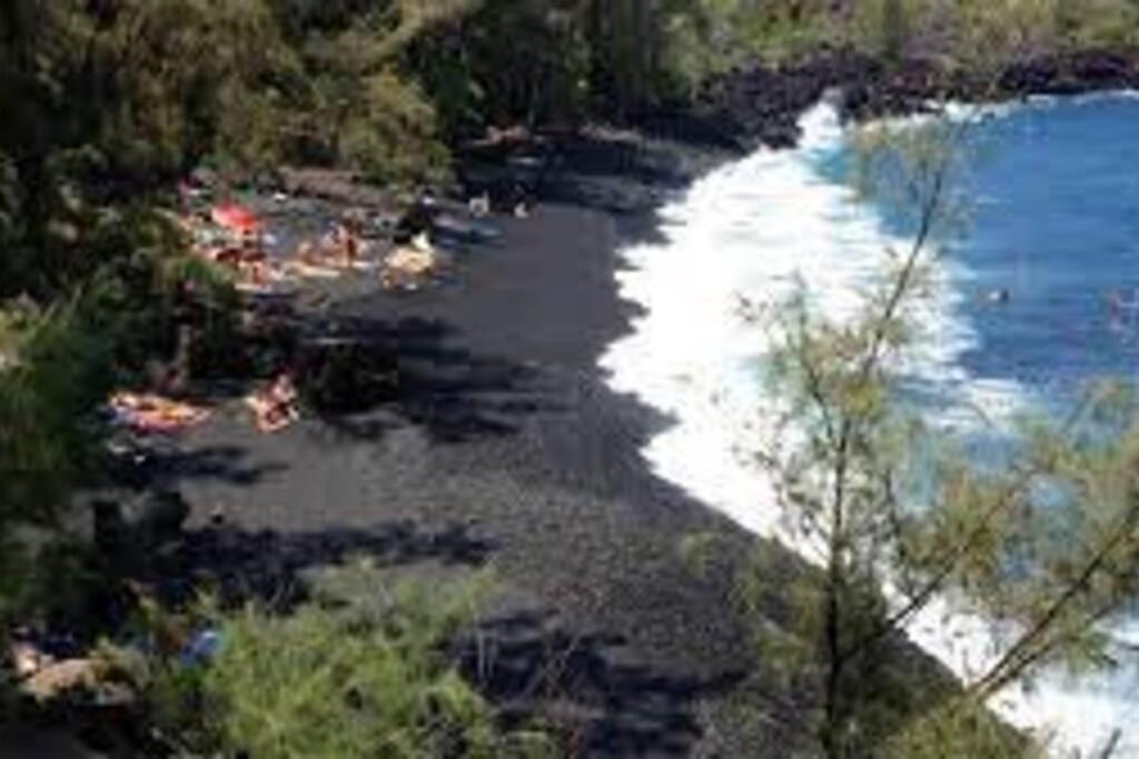 Jungle Haven Ocean Front Eco Villa On Fruit Farm Pahoa Eksteriør bilde
