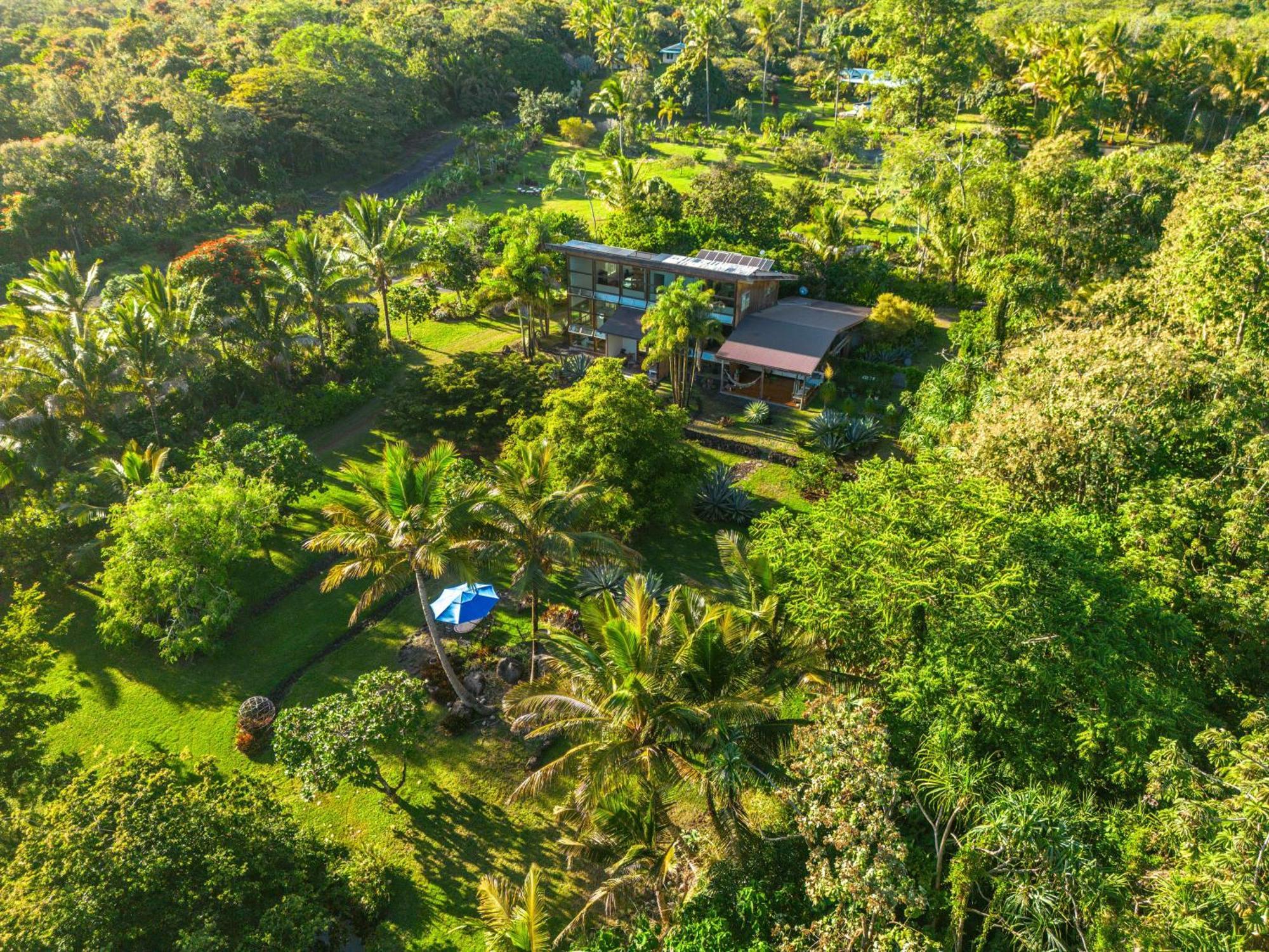 Jungle Haven Ocean Front Eco Villa On Fruit Farm Pahoa Eksteriør bilde