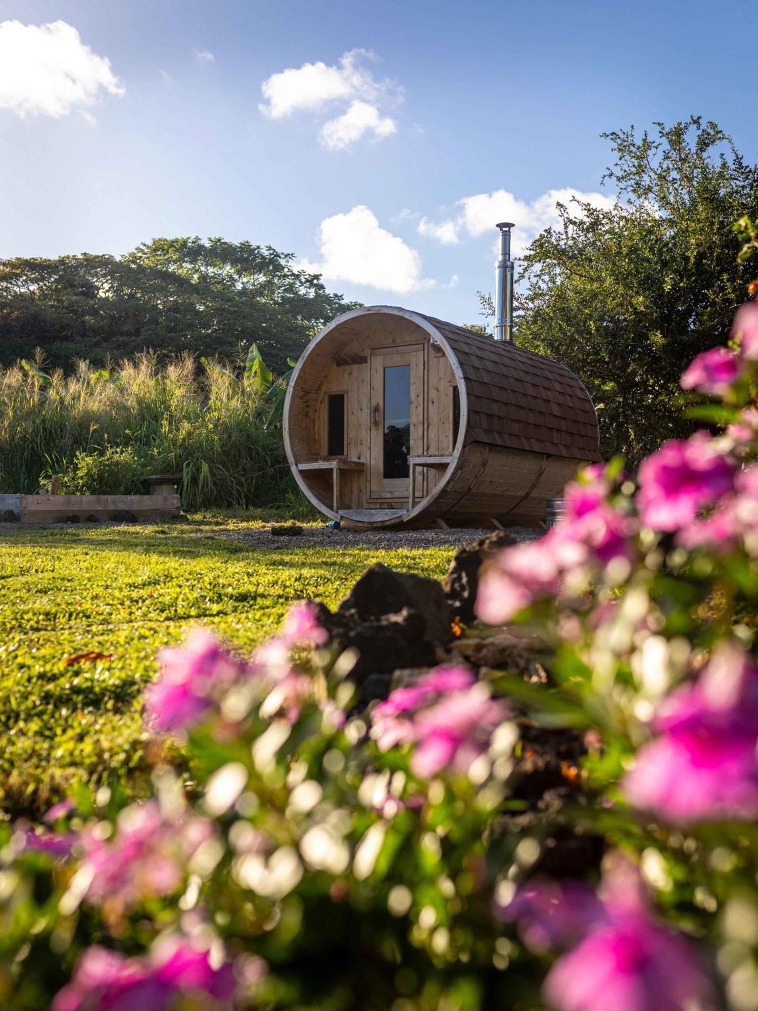 Jungle Haven Ocean Front Eco Villa On Fruit Farm Pahoa Eksteriør bilde