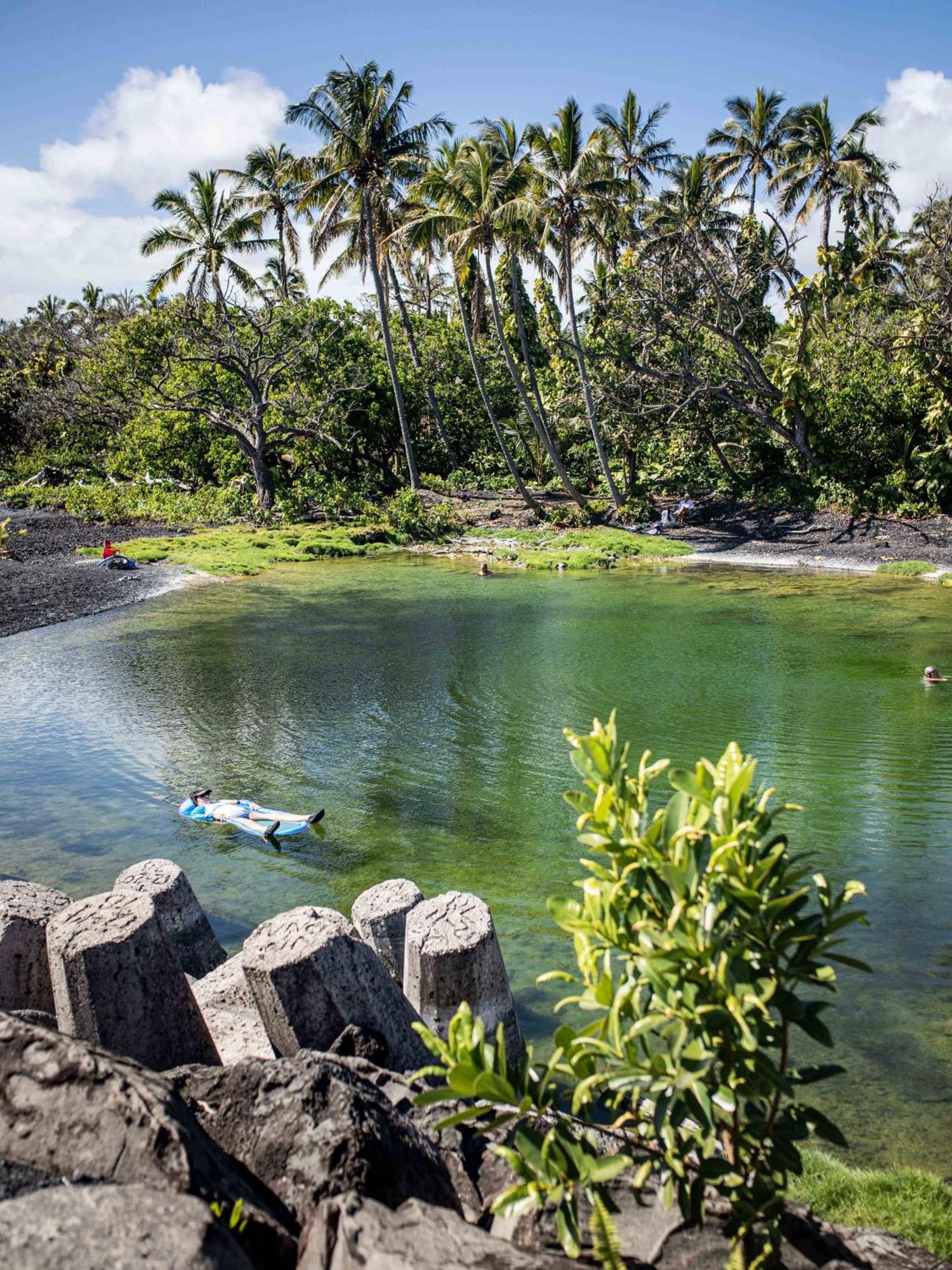 Jungle Haven Ocean Front Eco Villa On Fruit Farm Pahoa Eksteriør bilde
