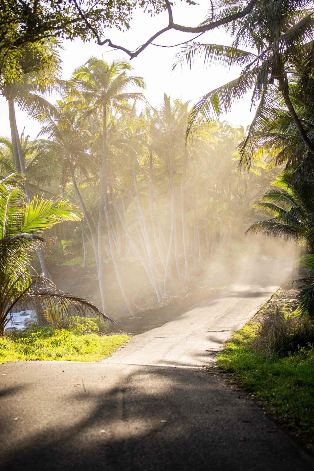 Jungle Haven Ocean Front Eco Villa On Fruit Farm Pahoa Eksteriør bilde